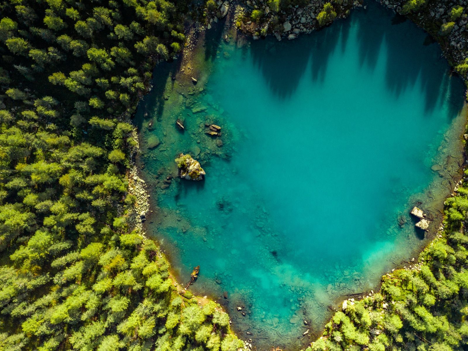 Lago di Saoseo, Graubuenden, summer, forest, mountain lake, Aerial/Drohne, tree