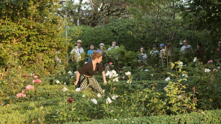 Festival der in Weinfelden Switzerland Tourism