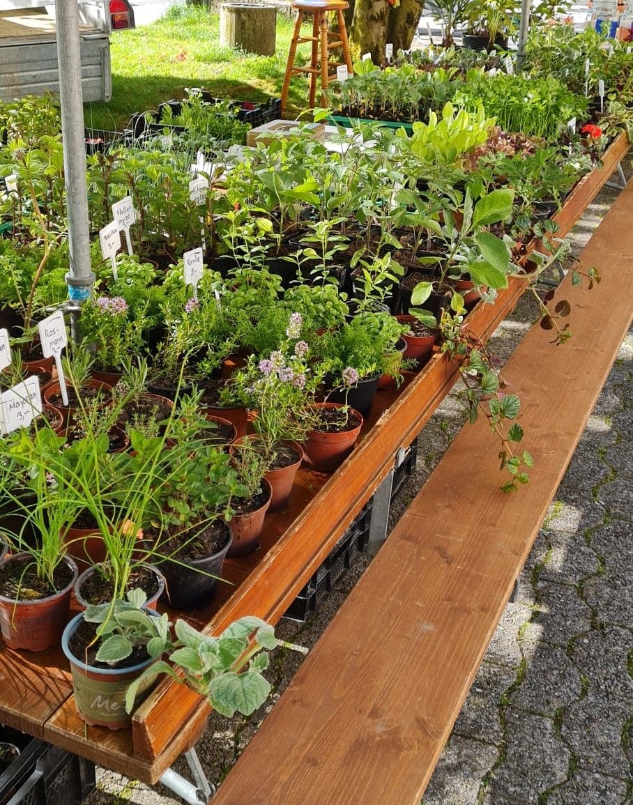 ortsFEST Frühlingsmarkt | Switzerland Tourism