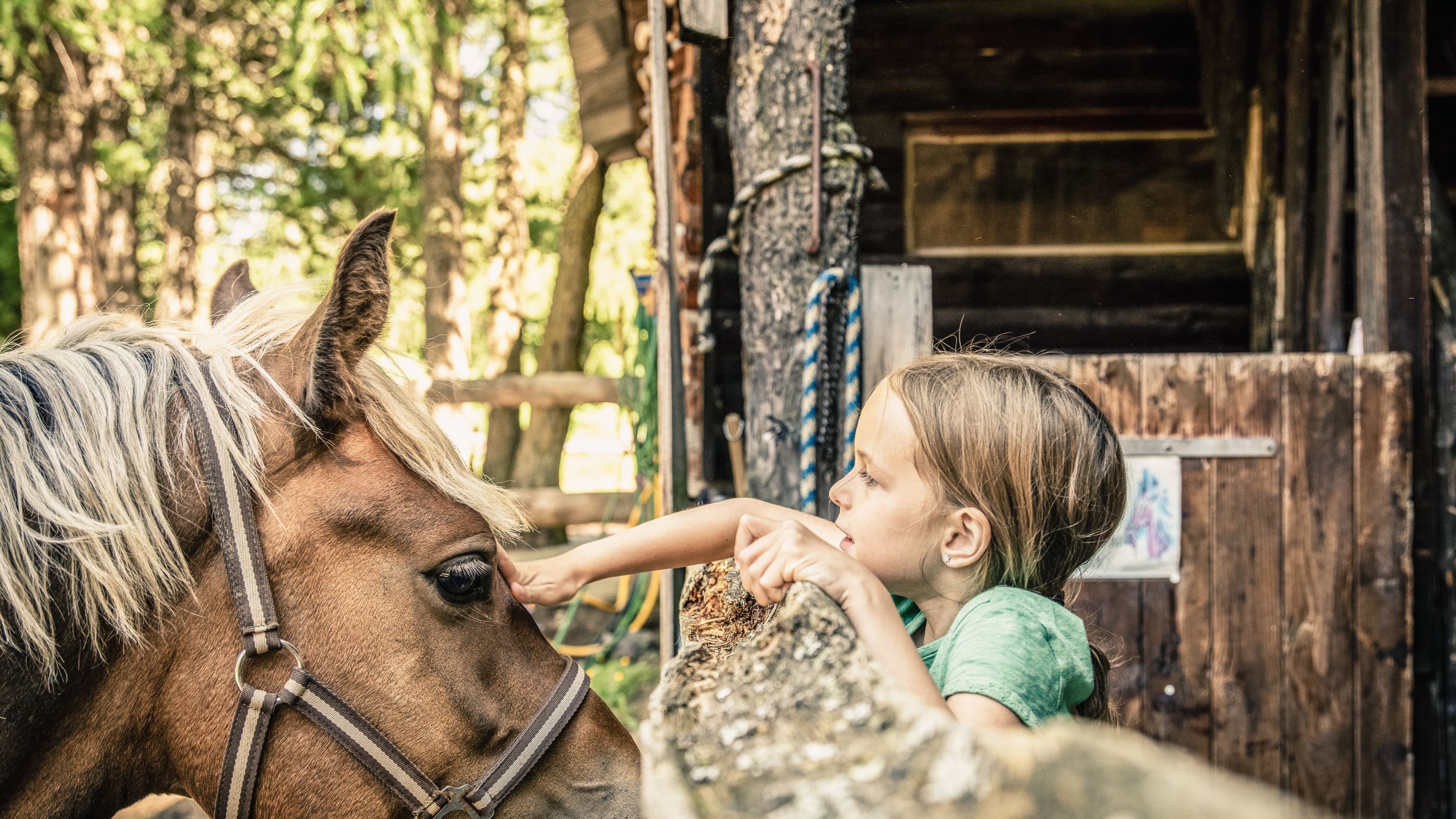 Ranch Le Caribou | Switzerland Tourism