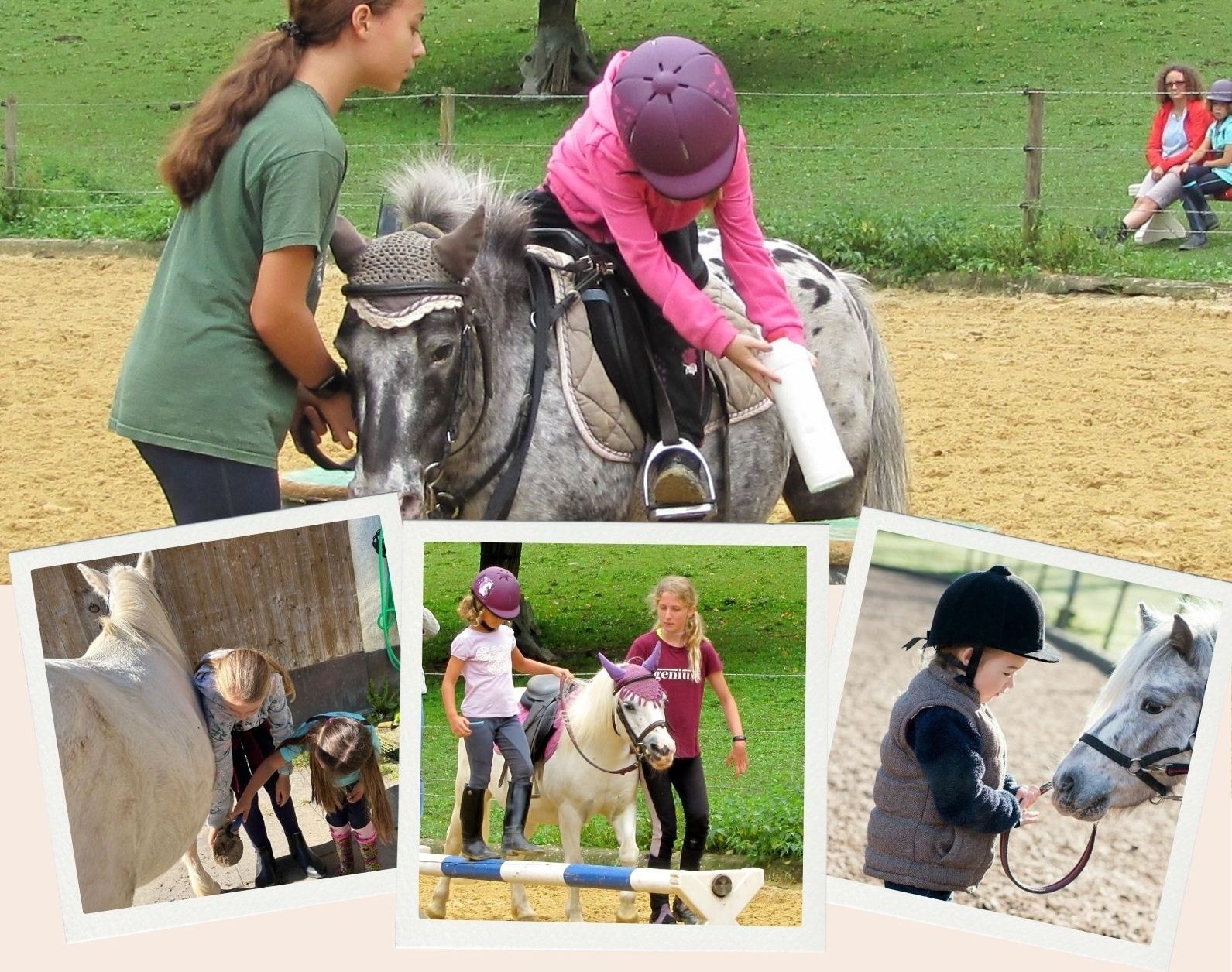 Pony Abenteuer – Entdecke die Welt der Ponys | Switzerland Tourism