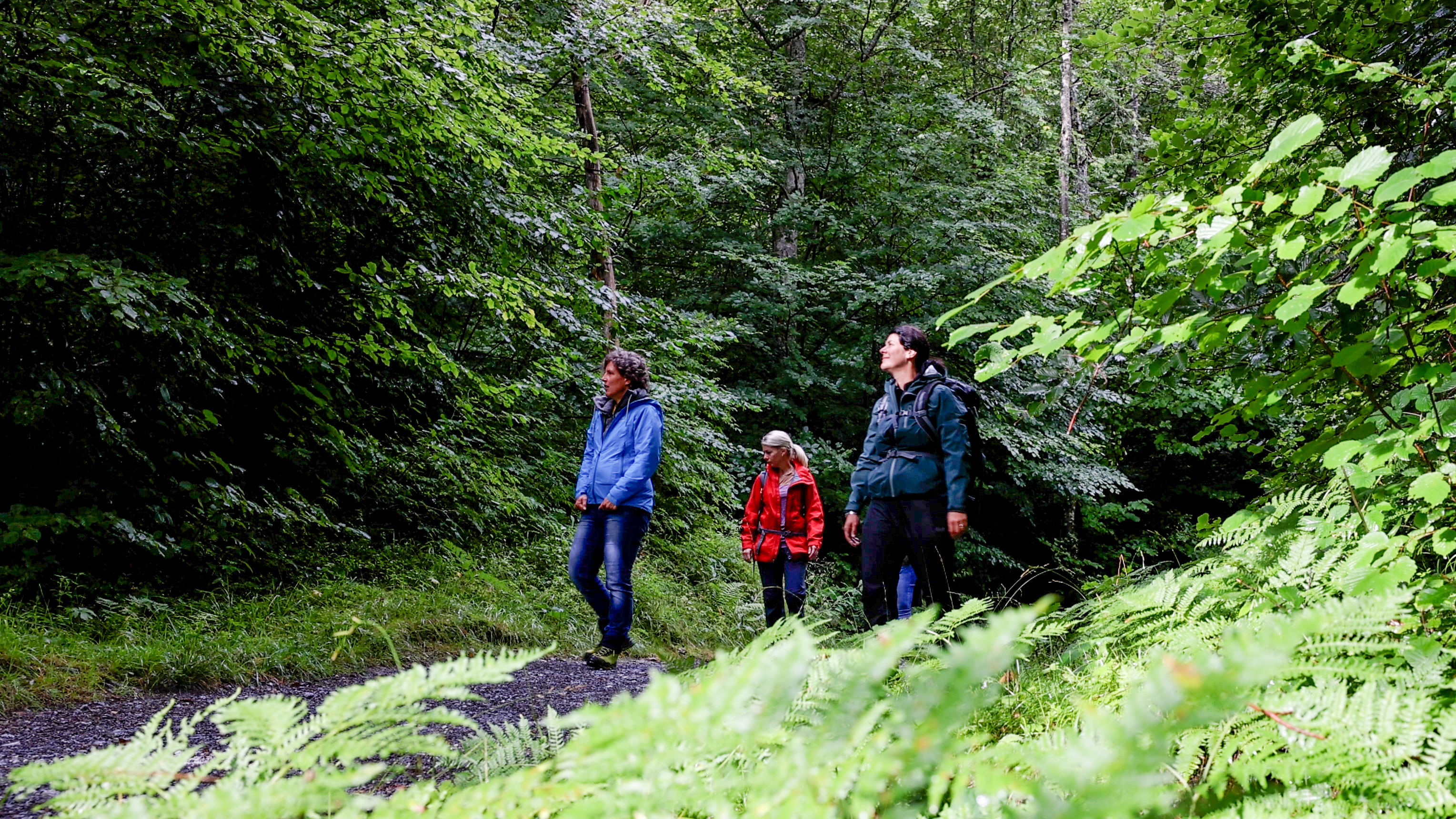 Shing Rin Shinrin-Yoku / Forest bathing - Flims Waldhaus | Switzerland Tourism