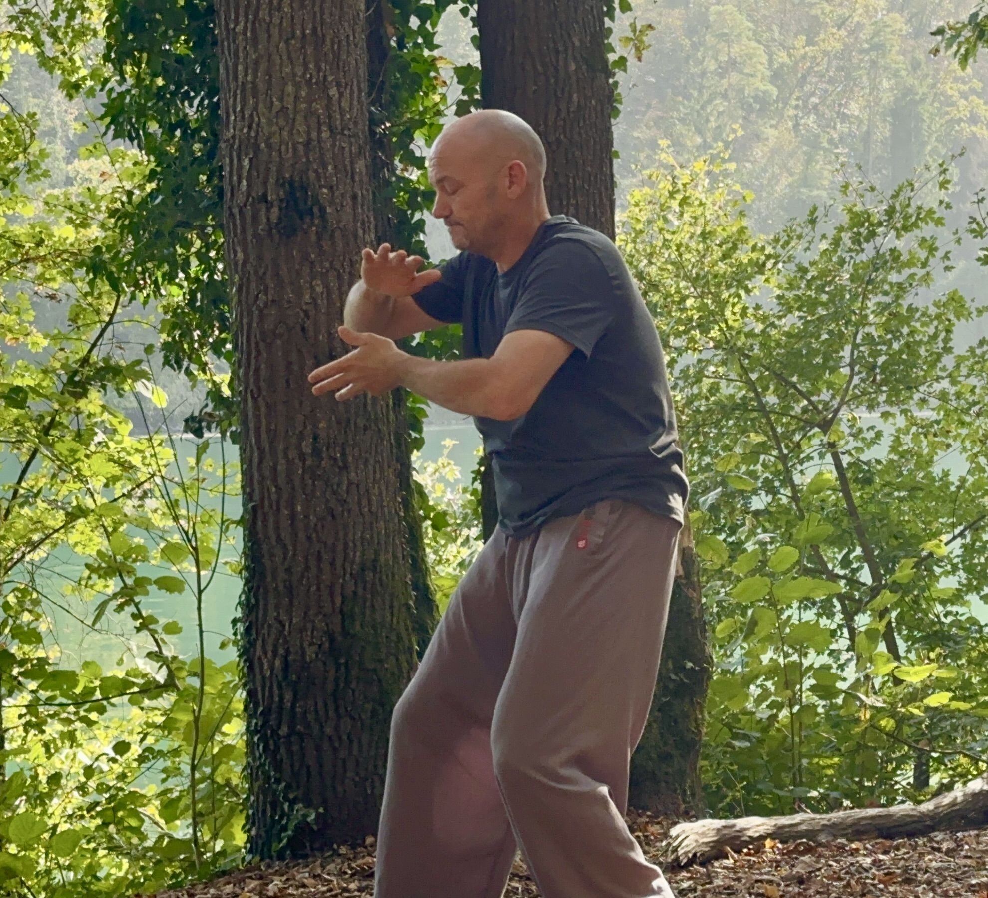 Die Kunst des Taiji Quan in Theorie - 62dba66f8ca30c495602b9d12e5486e8f170f419 881027489 