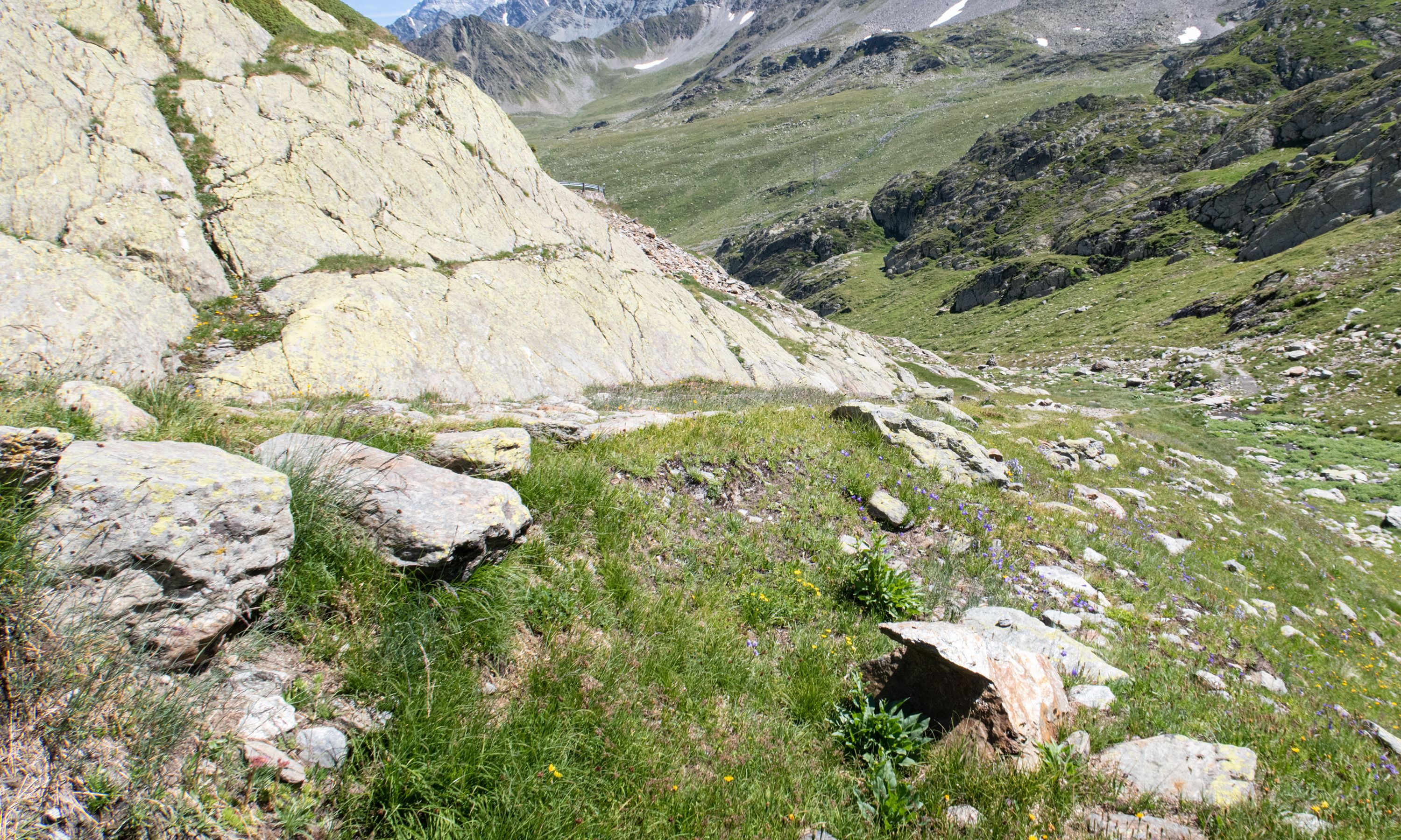 Great Saint Bernard Pass