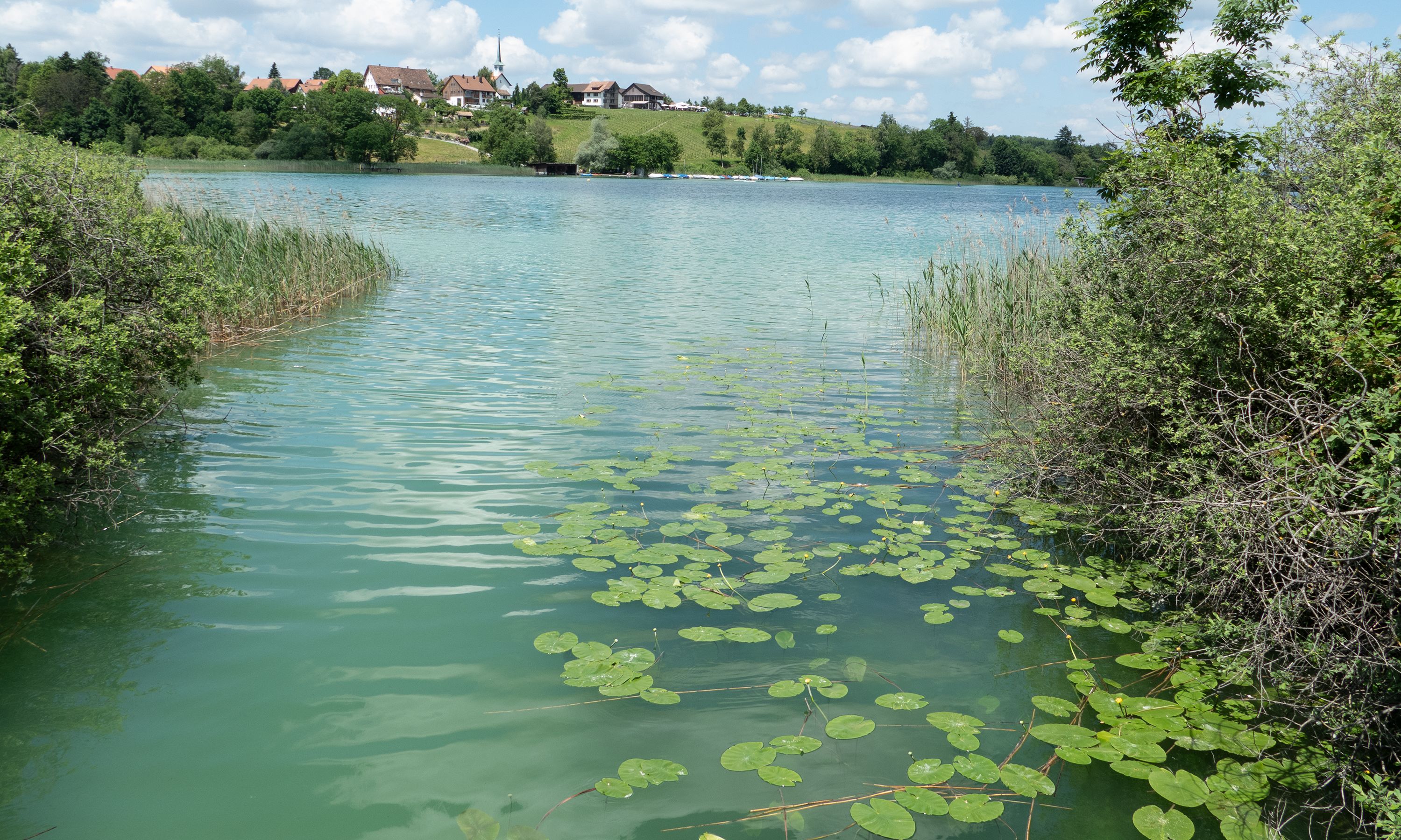Pf ffikersee Rundweg Schweiz Tourismus pf-ffikersee-rundweg-schweiz-tourismus