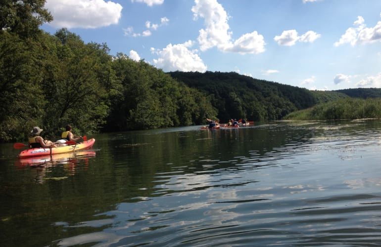 Alquilar un kayak o una canoa en el río Ródano, cerca de Ginebra ...