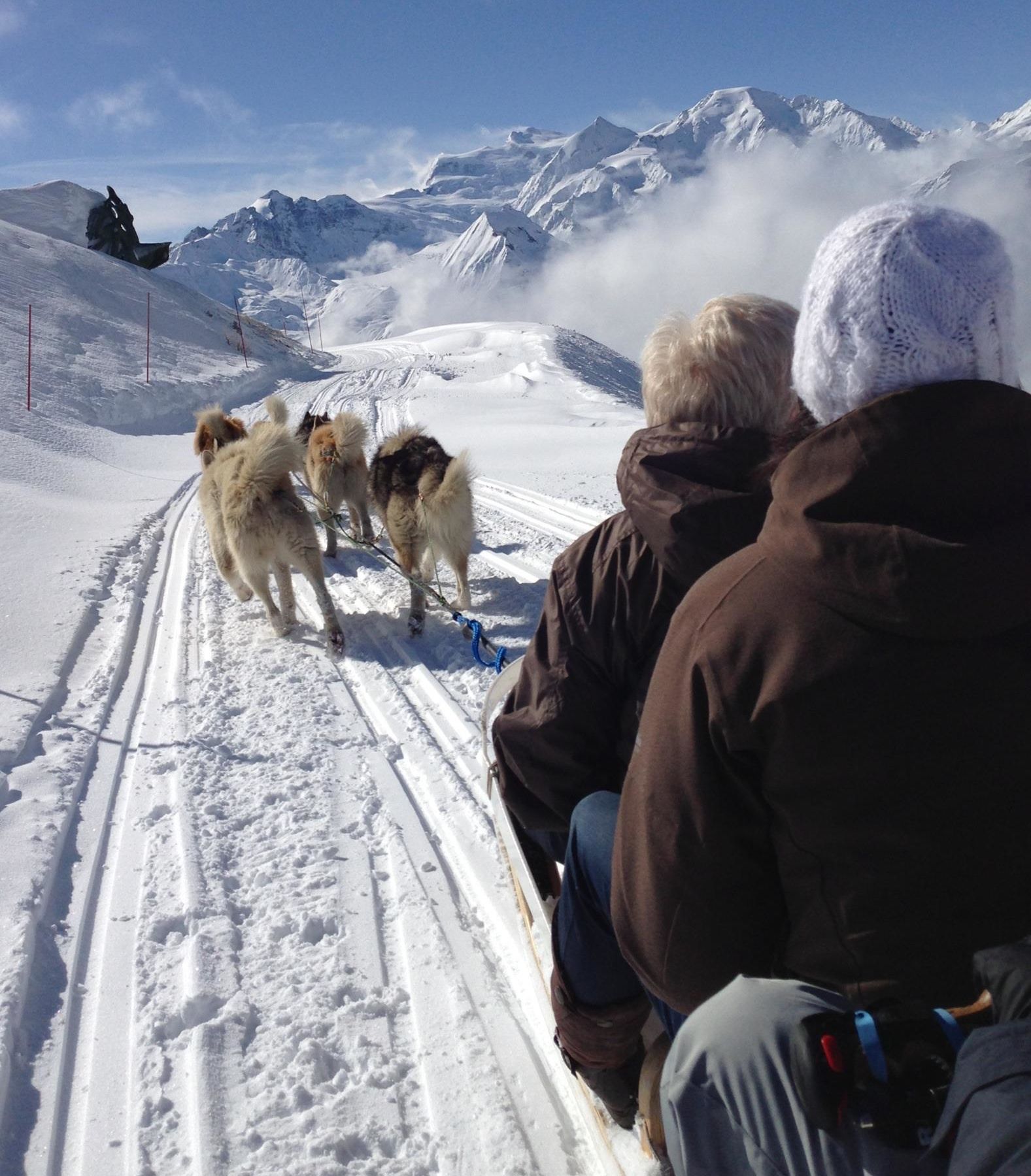 Paseo por la nieve con un perro de trineo