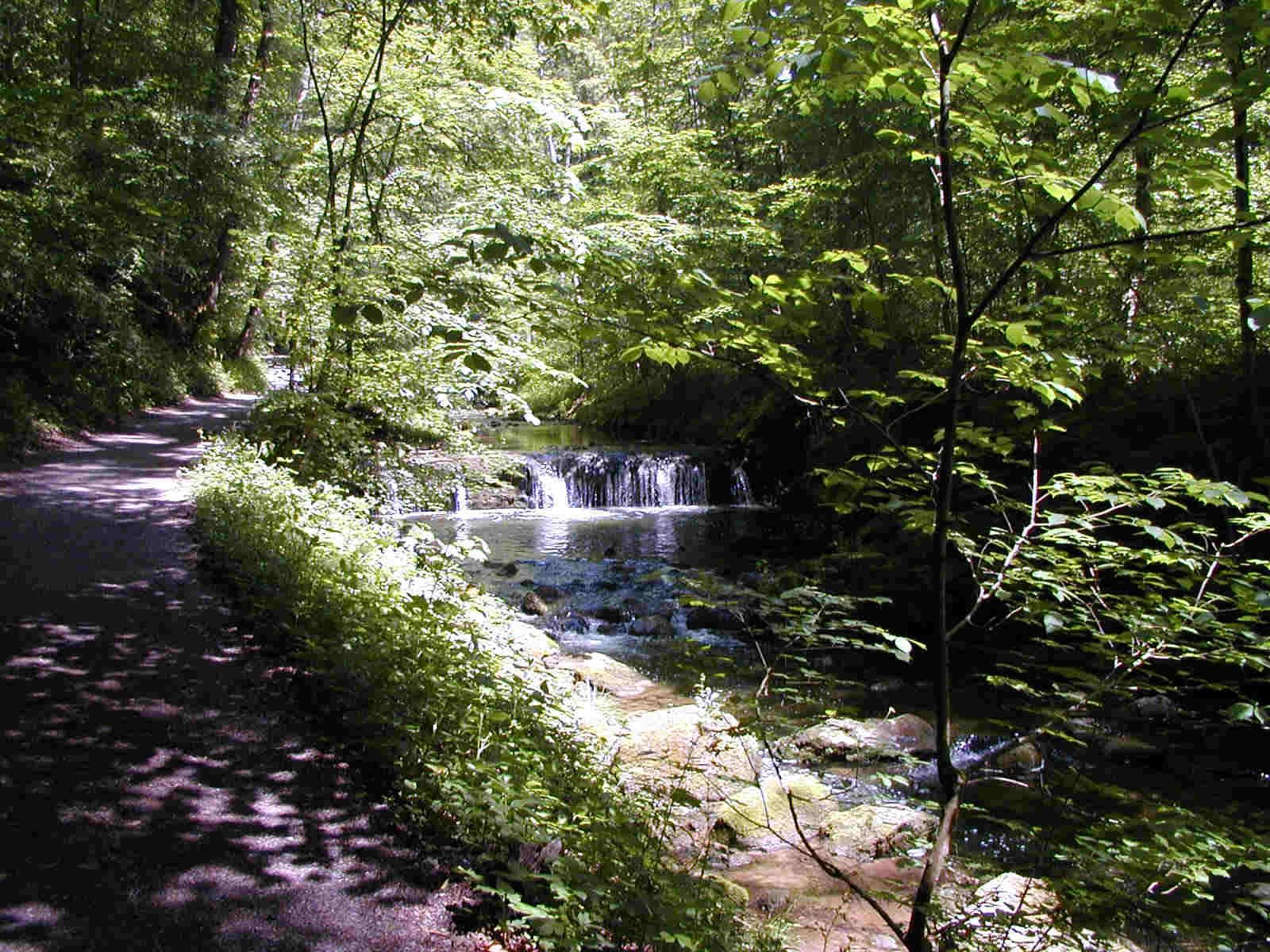 Küsnachter Tobel Schweiz Tourismus