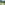 Sedrun: Cuolm Cavorgia und Surrein von