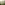Entlebuch, Wollgraeser beim Mettilimoos, Luzern-Vierwaldstaettersee, Fruehling, Wiese, Wald, Huegel, Moor, Blume