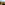 ENGADIN ST. MORITZ - Herbststimmung im Schweizerischen Nationalpark in Zernez. Goldig gefaerbte Laerchen in der Val Cluozza. Im Hintergrund Blick auf die verschneiten Bergspitzen des Piz Laschadurella, links ist der Munt Baselgia zu sehen. Copyright by ENGADIN St.Moritz By-line:swiss-image.ch/Hans Lozza