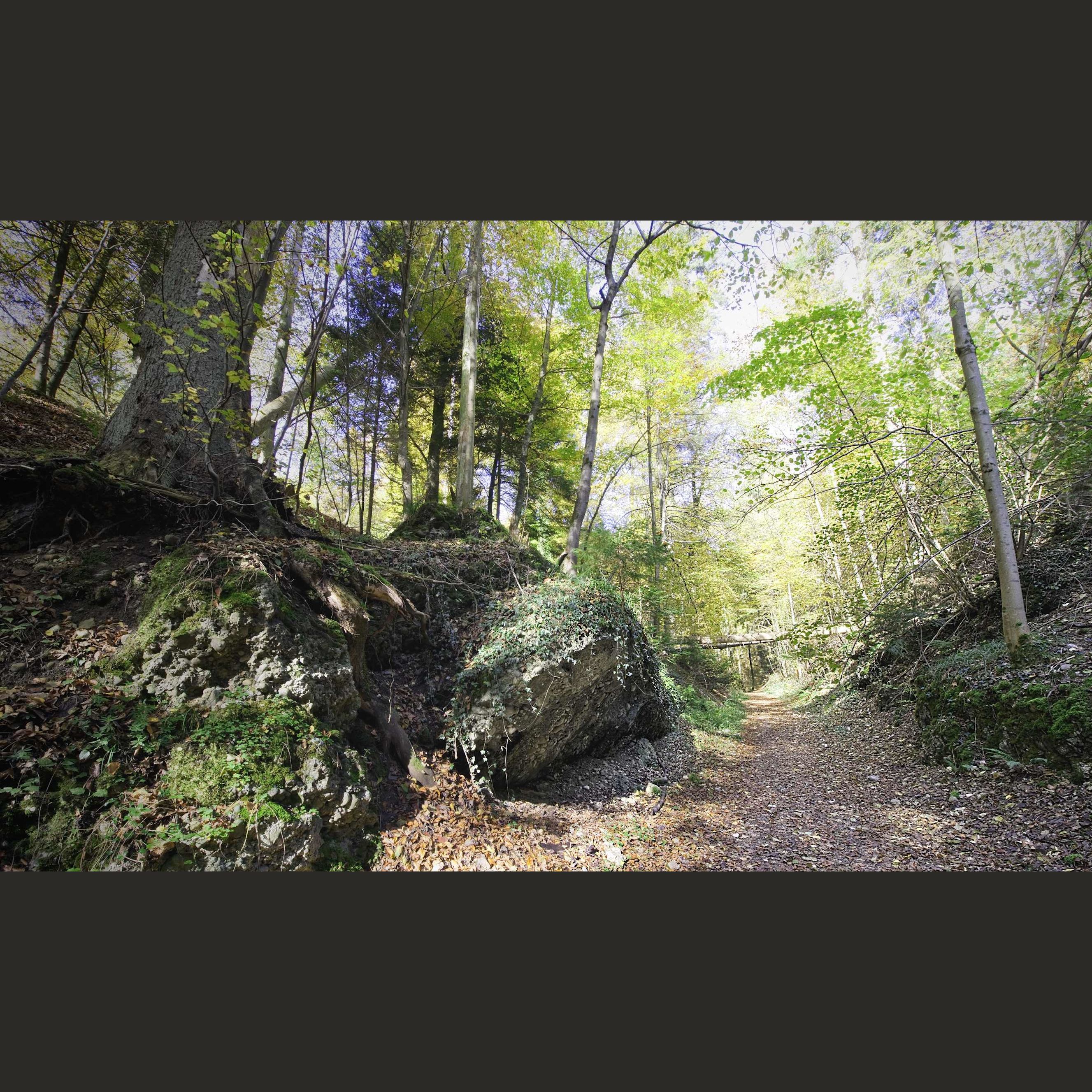 WaldBaden