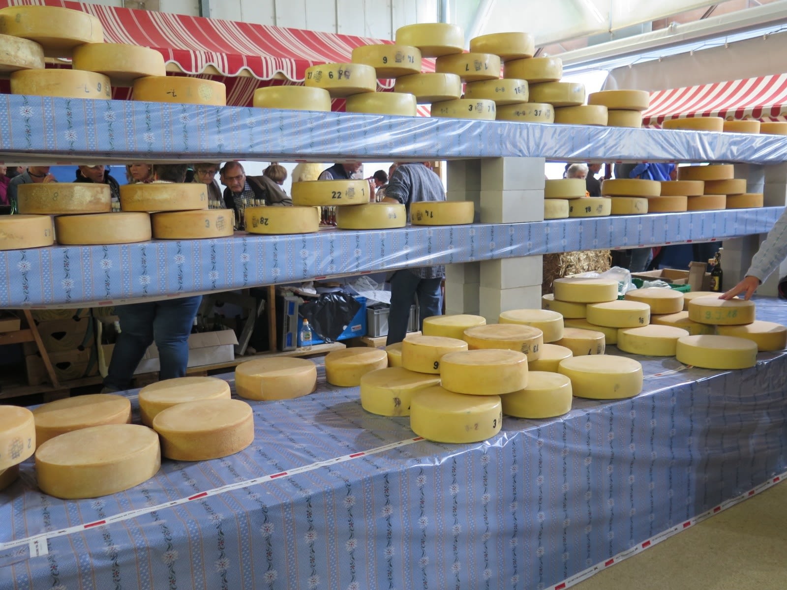 Cheese festival Wengen Switzerland Tourism