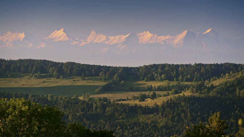 Oost–Zwitserland / Liechtenstein, Zomer, Berg, Natuurpark/reservaat, Weide, Woud