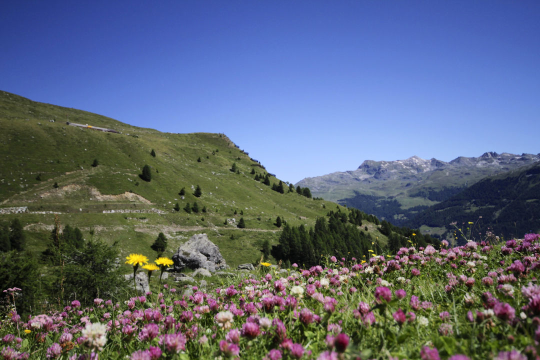 https://media.myswitzerland.com/image/fetch/w_1680,h_720,c_limit,f_auto,q_80,fl_keep_iptc.keep_attribution/https://www.myswitzerland.com/-/media/st/gadmin/images/landscapes/summer/mountains/bendolla1_191514.jpg?mw={w}&mh={h}