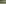 Tessin, Berg, Gruppe, Familie, Hund, Lama