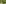 Valais, summer, mountain, meadow, marmot