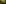 Ticino, summer, forest, woman, tree, yoga