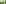 Basel Region, spring, summer, meadow, forest, woman, suspension rope park, ziplining