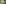 Bern, Fruehling, Berg, Wiese, Schnee, Baum, Blume