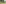 Fribourg Region, Sommer, Berg, Naturpark/Reservat, Wiese, Wald, Bergbach, Paar, Wandern