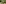 Graubuenden, summer, forest, vineyard, garden, castle, Aerial/Drohne, house/building