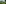 Genferseegebiet (Waadtland), Sommer, Wiese, Wald, See, Dorf, Haus/Gebaeude, Baum, Blume, Schiff