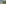 Graubünden, Weide, Woud, Bergmeer