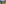 Grisons, Montagne, Parc naturel/réserve, Champs, Forêt, Colline, Enfant, Groupe, Arbre