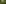 Jura & Drei-Seen-Land, Wald, Naturpark/Reservat, Baum