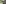 Eastern Switzerland / Liechtenstein, summer, forest, child, tree, flower, hiking