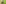 Bildtitel: Schlittenhund_Sommer.jpg Legende: Obwalden Quelle: Birve Kennel