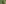 Hügeiss - Trekking wie zu Zeiten von Geissenpeter, Interlaken