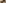 Ostschweiz / Liechtenstein, Sommer, Familie, Betriebsbesichtigung