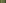 Eastern Switzerland / Liechtenstein, autumn, meadow, forest, river, church/chapel, tree, flower