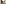 Reka-Ferienanlage Scuol, Scuol, Swiss Family Hotels & Lodgings