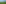 bäume, sommer, landschaft