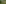 blumen park