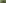 Tessin, Wald, Mann, Seilpark